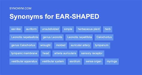 auricular synonym.